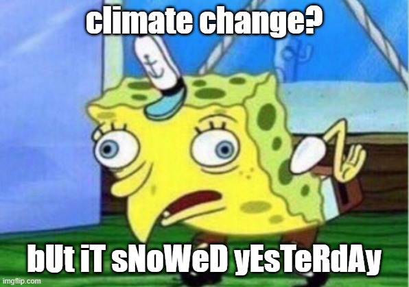 Mocking Spongebob Meme | climate change? bUt iT sNoWeD yEsTeRdAy | image tagged in memes,mocking spongebob | made w/ Imgflip meme maker