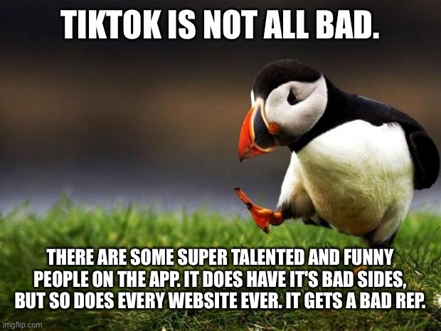 I said what I said. |  TIKTOK IS NOT ALL BAD. THERE ARE SOME SUPER TALENTED AND FUNNY PEOPLE ON THE APP. IT DOES HAVE IT'S BAD SIDES, BUT SO DOES EVERY WEBSITE EVER. IT GETS A BAD REP. | image tagged in memes,unpopular opinion puffin,tiktok,unpopular opinion | made w/ Imgflip meme maker