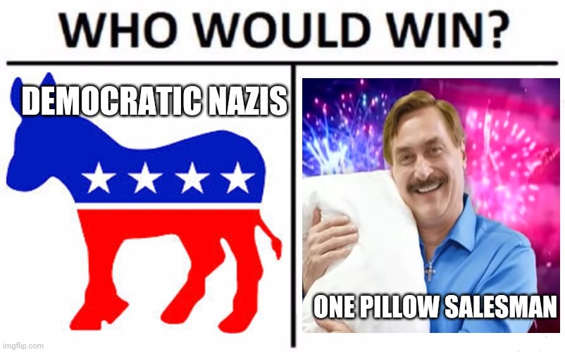DEMOCRATIC NAZIS; ONE PILLOW SALESMAN | image tagged in funny memes | made w/ Imgflip meme maker