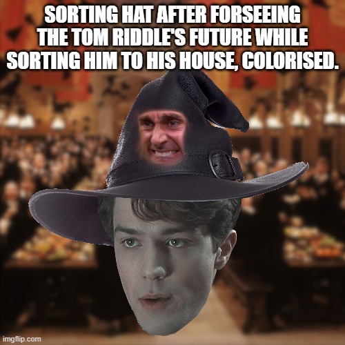 Sorting Hat and the beatiful future of wizard world | SORTING HAT AFTER FORSEEING THE TOM RIDDLE'S FUTURE WHILE SORTING HIM TO HIS HOUSE, COLORISED. | image tagged in harry potter,harry potter sorting hat,the office,wizards | made w/ Imgflip meme maker