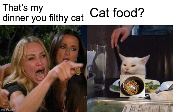 Woman Yelling At Cat | That’s my dinner you filthy cat; Cat food? | image tagged in memes,woman yelling at cat,gone wrong | made w/ Imgflip meme maker
