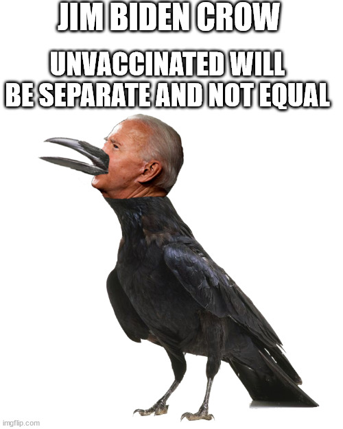 Jim Crow 2.0 | JIM BIDEN CROW; UNVACCINATED WILL BE SEPARATE AND NOT EQUAL | image tagged in biden | made w/ Imgflip meme maker