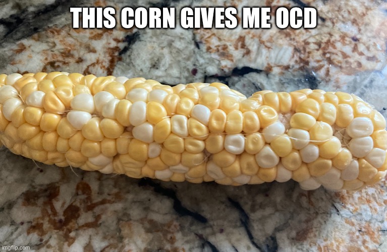 Corn | THIS CORN GIVES ME OCD | image tagged in corn | made w/ Imgflip meme maker