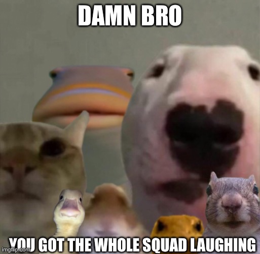 The council remastered | DAMN BRO YOU GOT THE WHOLE SQUAD LAUGHING | image tagged in the council remastered | made w/ Imgflip meme maker