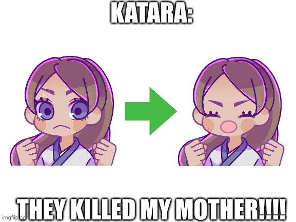 Jus a thing I made | KATARA:; THEY KILLED MY MOTHER!!!! | image tagged in blank white template | made w/ Imgflip meme maker