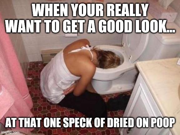 Toilets need to be Teflon coated... | WHEN YOUR REALLY WANT TO GET A GOOD LOOK... AT THAT ONE SPECK OF DRIED ON POOP | image tagged in toilet humor,poop,cleaning | made w/ Imgflip meme maker