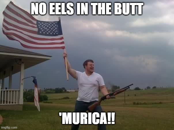 A Chinese man nearly died from shoving a live eel in his butt. |  NO EELS IN THE BUTT; 'MURICA!! | image tagged in redneck shotgun and flag,china,funny memes,stupid people,butthurt | made w/ Imgflip meme maker