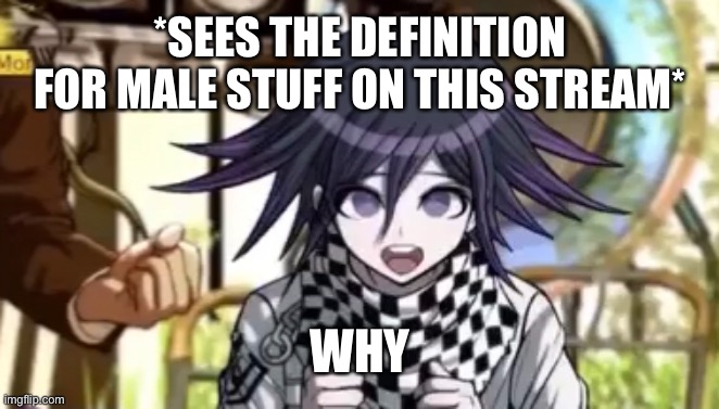 *SEES THE DEFINITION FOR MALE STUFF ON THIS STREAM*; WHY | made w/ Imgflip meme maker