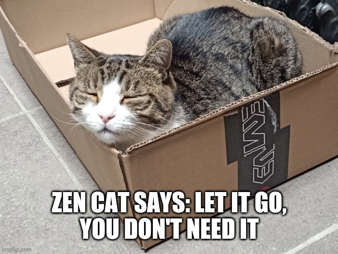 Let it go | ZEN CAT SAYS: LET IT GO,
YOU DON'T NEED IT | image tagged in zen cat says | made w/ Imgflip meme maker