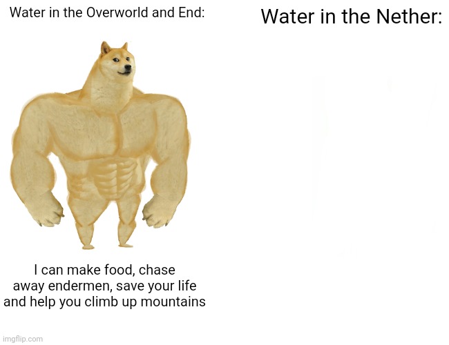 Water be like | Water in the Overworld and End:; Water in the Nether:; I can make food, chase away endermen, save your life and help you climb up mountains | image tagged in memes,buff doge vs cheems | made w/ Imgflip meme maker