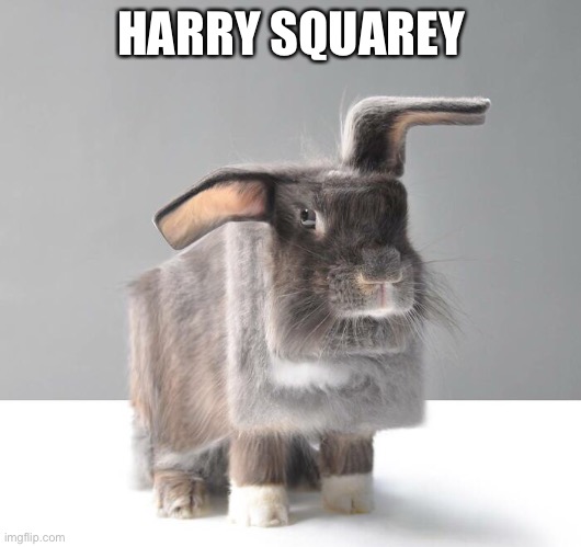 HARRY SQUARELY | image tagged in funny memes,eyeroll | made w/ Imgflip meme maker