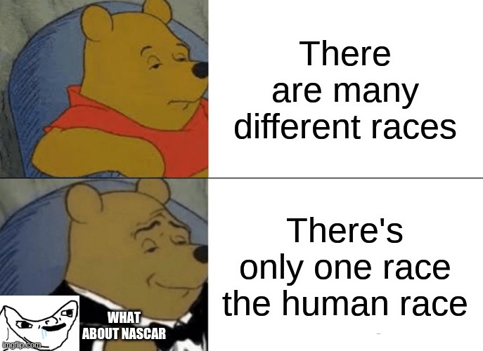 Tuxedo Winnie The Pooh | There are many different races; There's only one race the human race; WHAT ABOUT NASCAR | image tagged in memes,tuxedo winnie the pooh | made w/ Imgflip meme maker