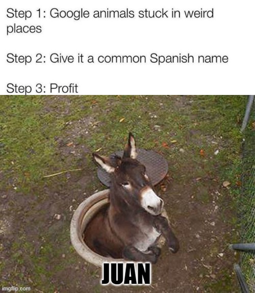 Juan | JUAN | image tagged in memes | made w/ Imgflip meme maker