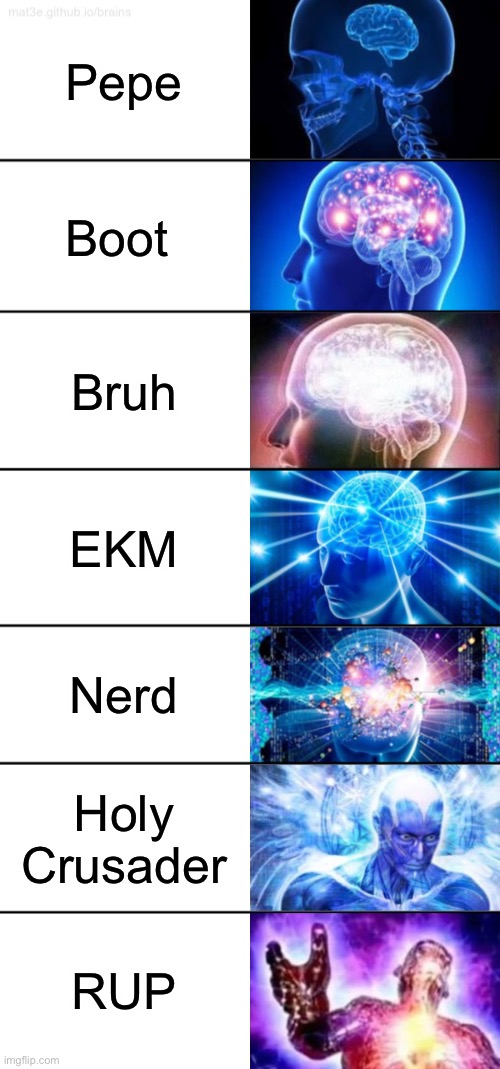 Vote RUP next election! | Pepe; Boot; Bruh; EKM; Nerd; Holy Crusader; RUP | image tagged in 7-tier expanding brain | made w/ Imgflip meme maker