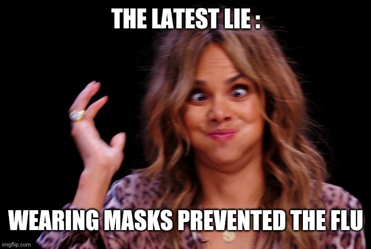 Boof ! | THE LATEST LIE : WEARING MASKS PREVENTED THE FLU | image tagged in boof | made w/ Imgflip meme maker