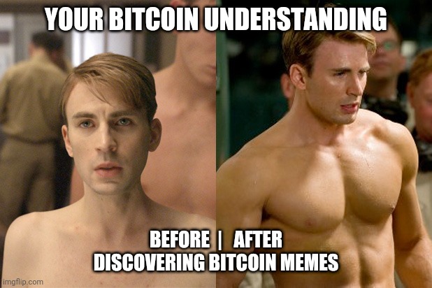 Before After Gains | YOUR BITCOIN UNDERSTANDING; BEFORE  |   AFTER
DISCOVERING BITCOIN MEMES | image tagged in before after gains,bitcoin,understanding bitcoin,bitcoin memes | made w/ Imgflip meme maker