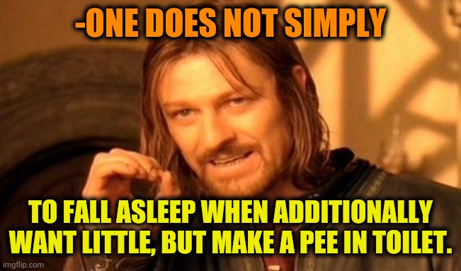 -Plz, no any puddle. | -ONE DOES NOT SIMPLY; TO FALL ASLEEP WHEN ADDITIONALLY WANT LITTLE, BUT MAKE A PEE IN TOILET. | image tagged in memes,one does not simply,peeing,toilet humor,fall,asleep | made w/ Imgflip meme maker