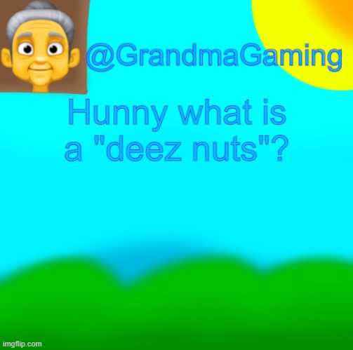 Grandma Gaming | Hunny what is a "deez nuts"? | image tagged in grandma gaming | made w/ Imgflip meme maker