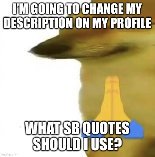 Dameu | I’M GOING TO CHANGE MY DESCRIPTION ON MY PROFILE; WHAT SB QUOTES SHOULD I USE? | image tagged in dorime | made w/ Imgflip meme maker