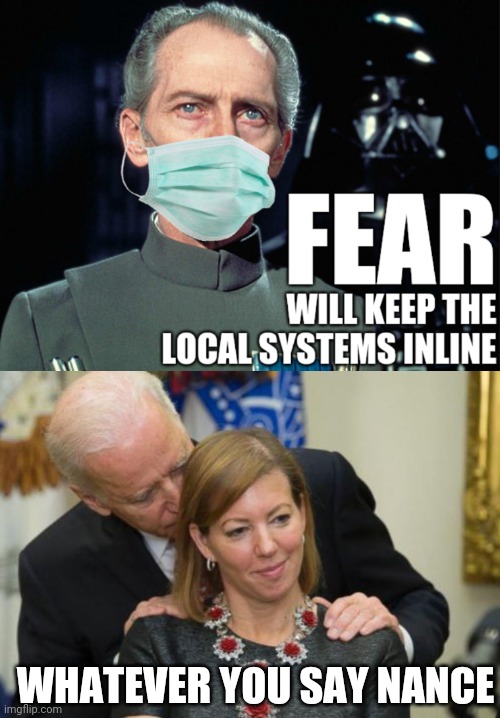 Watch the rats, troubles coming | WHATEVER YOU SAY NANCE | image tagged in creepy joe biden,fear,face mask,big brother,revenge of the sith,return of the jedi | made w/ Imgflip meme maker