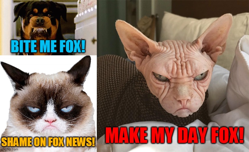 BITE ME FOX! MAKE MY DAY FOX! SHAME ON FOX NEWS! | made w/ Imgflip meme maker