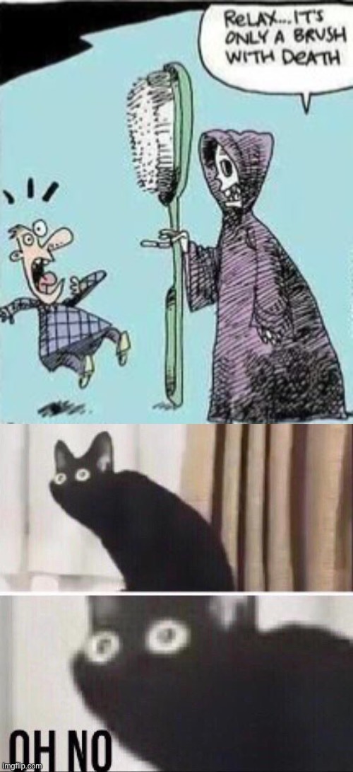 oh no | image tagged in oh no cat,dark humor,death,funny | made w/ Imgflip meme maker