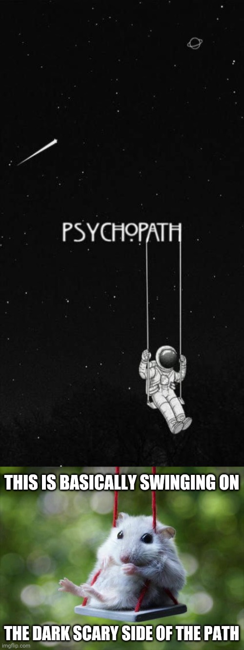 Psychopath swing | THIS IS BASICALLY SWINGING ON; THE DARK SCARY SIDE OF THE PATH | image tagged in mouse swing,dark humor,memes,swing,psychopath,meme | made w/ Imgflip meme maker