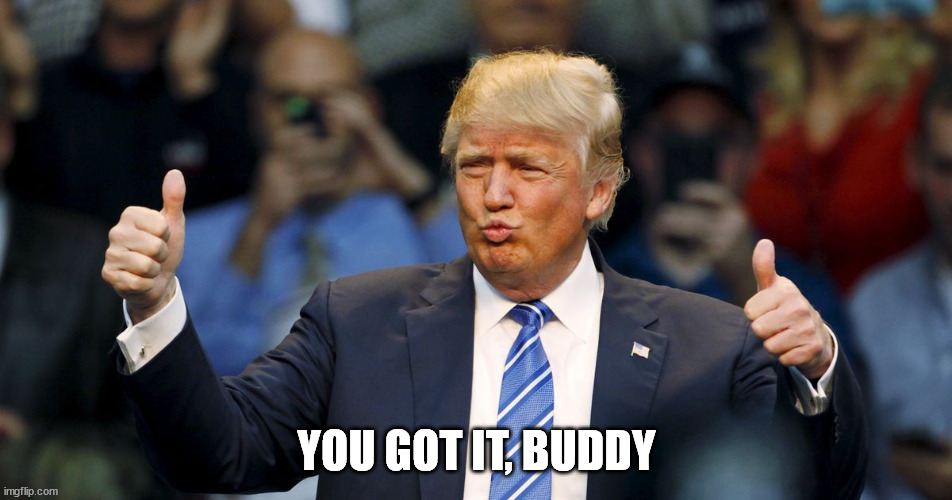 Trump you got it | YOU GOT IT, BUDDY | image tagged in thumbs up | made w/ Imgflip meme maker