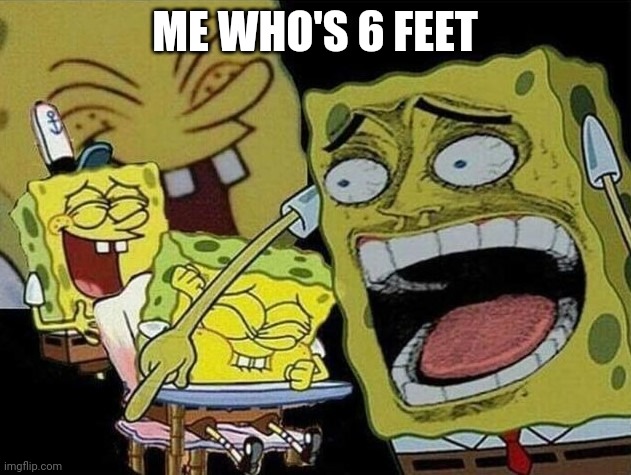 Spongebob laughing Hysterically | ME WHO'S 6 FEET | image tagged in spongebob laughing hysterically | made w/ Imgflip meme maker