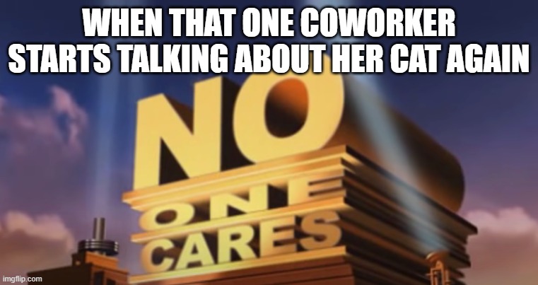 No one cares | WHEN THAT ONE COWORKER STARTS TALKING ABOUT HER CAT AGAIN | image tagged in no one cares | made w/ Imgflip meme maker
