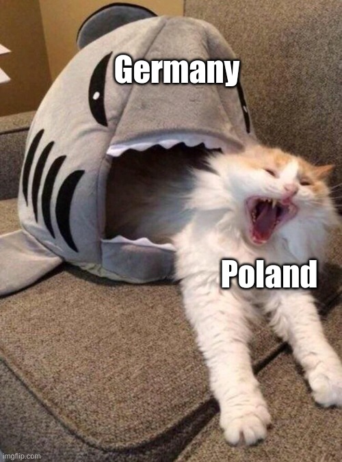 e | Germany; Poland | image tagged in scared cat,e,ww2 | made w/ Imgflip meme maker