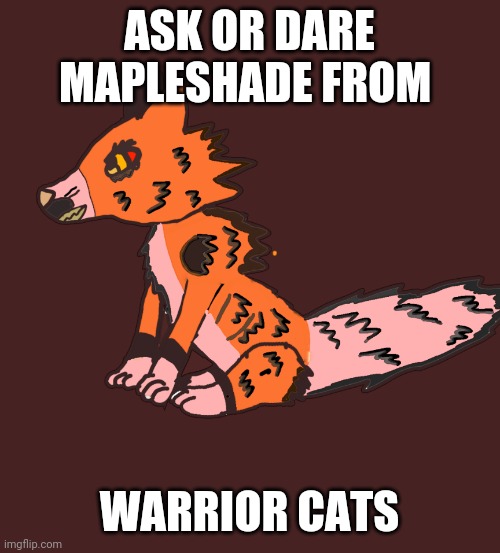 ASK OR DARE MAPLESHADE FROM; WARRIOR CATS | made w/ Imgflip meme maker
