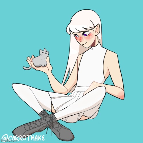 @Emilia, I am so sorry, I tried, but here you go! Again, I'm sorry I couldn't really get your outfit right. | made w/ Imgflip meme maker