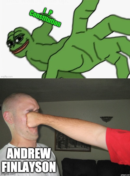 ANDREW
FINLAYSON | image tagged in face punch | made w/ Imgflip meme maker