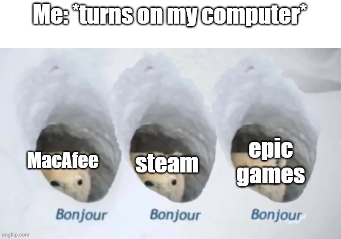 me when i turn on my computer | Me: *turns on my computer*; steam; MacAfee; epic games | image tagged in computer,bonjour | made w/ Imgflip meme maker
