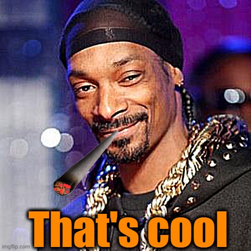 Snoop dogg | That's cool | image tagged in snoop dogg | made w/ Imgflip meme maker