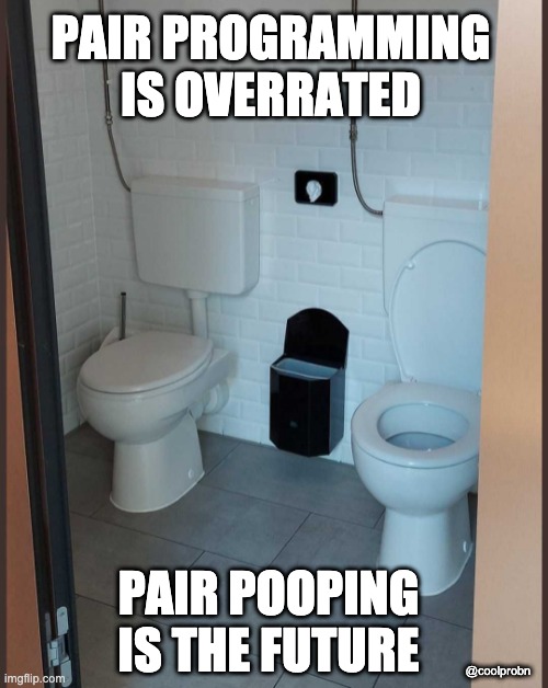 Pair pooping > Pair programming | PAIR PROGRAMMING IS OVERRATED; PAIR POOPING IS THE FUTURE; @coolprobn | image tagged in programming | made w/ Imgflip meme maker