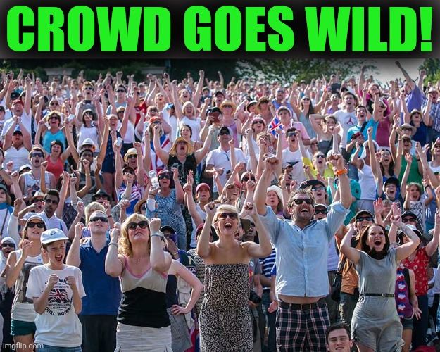 The Crowd Goes Wild | CROWD GOES WILD! | image tagged in the crowd goes wild | made w/ Imgflip meme maker