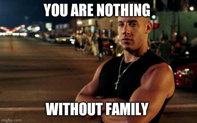 vin diesel | YOU ARE NOTHING; WITHOUT FAMILY | image tagged in vin diesel | made w/ Imgflip meme maker