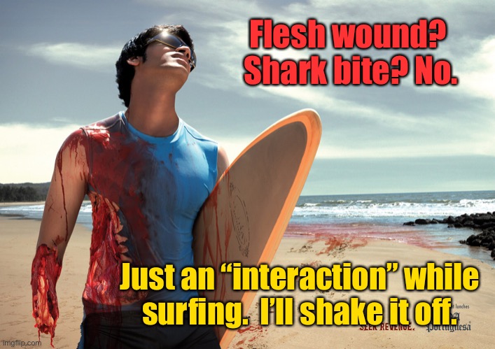 Flesh wound?  Shark bite? No. Just an “interaction” while surfing.  I’ll shake it off. | made w/ Imgflip meme maker