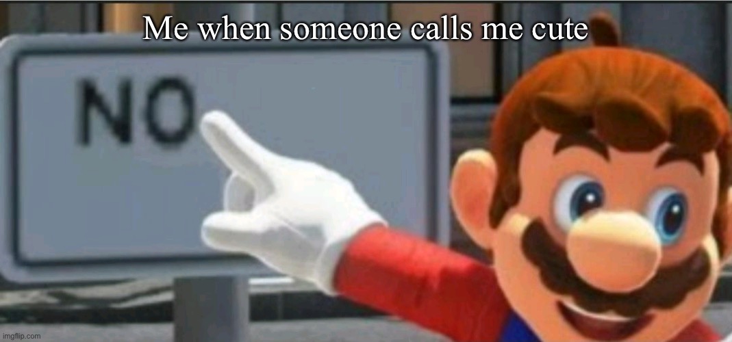 Mario points at a "NO" sign | Me when someone calls me cute | image tagged in mario points at a no sign | made w/ Imgflip meme maker