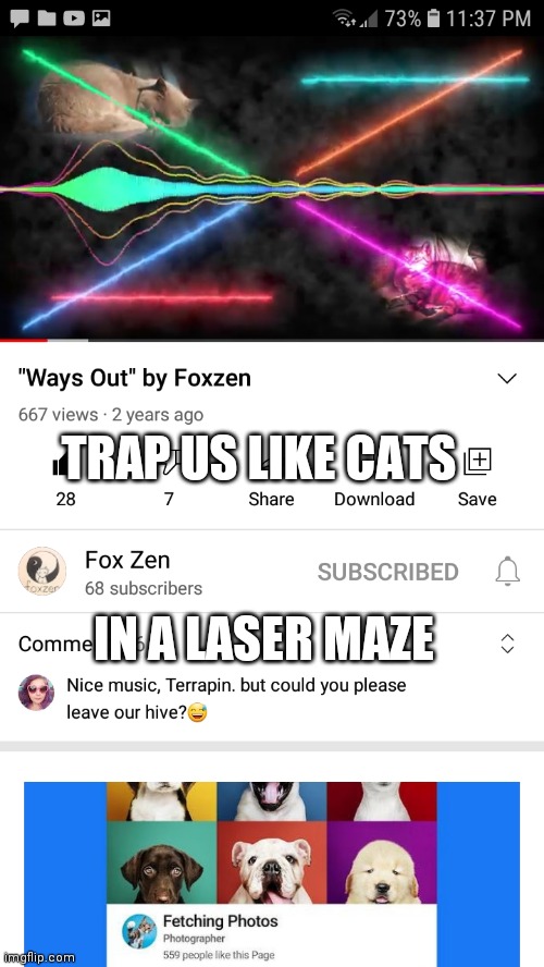Foxzen Ways Out | TRAP US LIKE CATS; IN A LASER MAZE | image tagged in foxzen ways out,cats | made w/ Imgflip meme maker