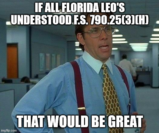 Florida LEO's | IF ALL FLORIDA LEO'S UNDERSTOOD F.S. 790.25(3)(H); THAT WOULD BE GREAT | image tagged in memes,that would be great | made w/ Imgflip meme maker