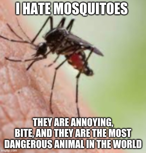 409,000 people killed a year by malaria, a disease transmited by mosquitos | I HATE MOSQUITOES; THEY ARE ANNOYING, BITE, AND THEY ARE THE MOST DANGEROUS ANIMAL IN THE WORLD | made w/ Imgflip meme maker