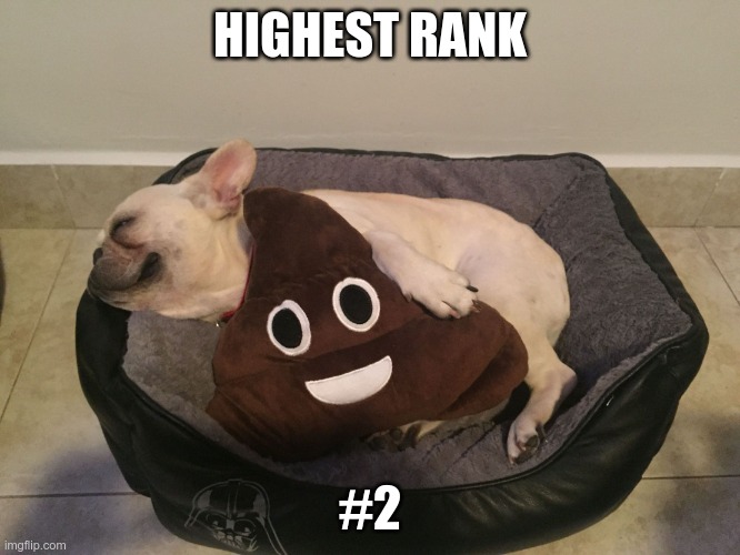 Poop emoji | HIGHEST RANK #2 | image tagged in poop emoji | made w/ Imgflip meme maker
