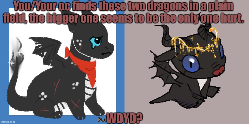 Idk what to put as the title so Y e s - |  You/Your oc finds these two dragons in a plain field, the bigger one seems to be the only one hurt. WDYD? | made w/ Imgflip meme maker