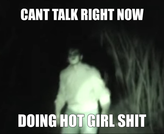 Can't talk rn doing hot girl shit Blank Meme Template