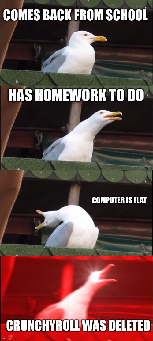 Inhaling Seagull | COMES BACK FROM SCHOOL; HAS HOMEWORK TO DO; COMPUTER IS FLAT; CRUNCHYROLL WAS DELETED | image tagged in memes,inhaling seagull | made w/ Imgflip meme maker