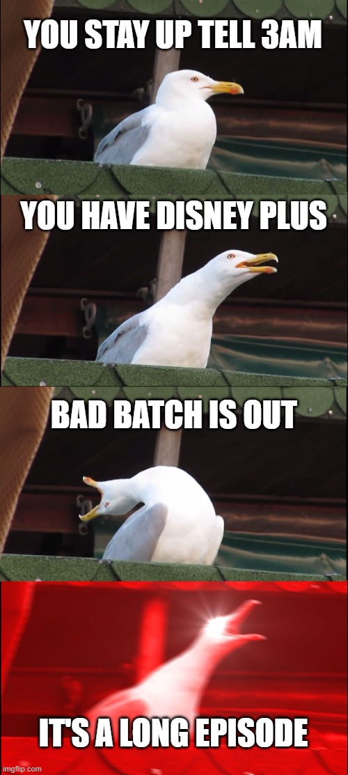 Inhaling Seagull | YOU STAY UP TELL 3AM; YOU HAVE DISNEY PLUS; BAD BATCH IS OUT; IT'S A LONG EPISODE | image tagged in memes,inhaling seagull,starwarsmemes | made w/ Imgflip meme maker