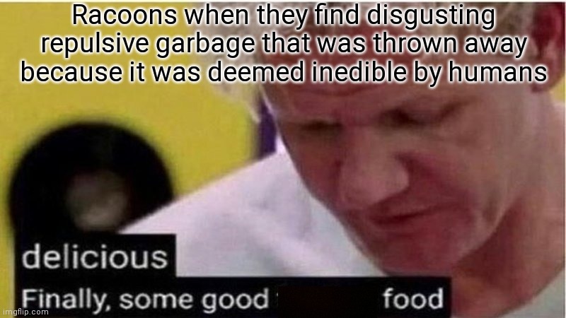 Gordon Ramsay some good food | Racoons when they find disgusting repulsive garbage that was thrown away because it was deemed inedible by humans | image tagged in gordon ramsay some good food,racoon,kitchen nightmares,garbage | made w/ Imgflip meme maker